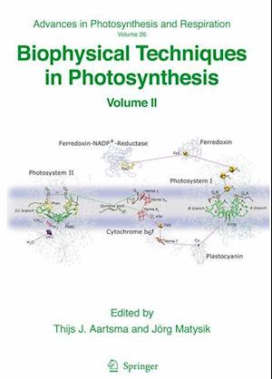 Biophysical Techniques in Photosynthesis