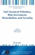 Soil Chemical Pollution, Risk Assessment, Remediation and Security