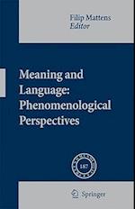 Meaning and Language: Phenomenological Perspectives