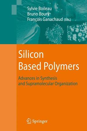 Silicon Based Polymers