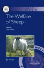 Welfare of Sheep