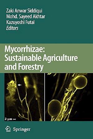 Mycorrhizae: Sustainable Agriculture and Forestry