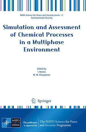 Simulation and Assessment of Chemical Processes in a Multiphase Environment