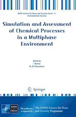 Simulation and Assessment of Chemical Processes in a Multiphase Environment