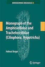 Monograph of the Amphisiellidae and Trachelostylidae (Ciliophora, Hypotricha)