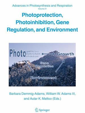 Photoprotection, Photoinhibition, Gene Regulation, and Environment