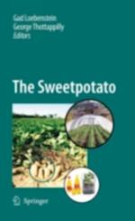 Sweetpotato