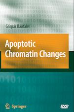 Apoptotic Chromatin Changes