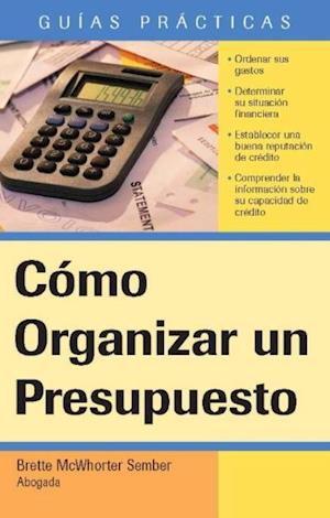 Como Organizar un Presupuesto