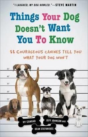 Things Your Dog Doesn't Want You to Know