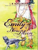 Emily of New Moon