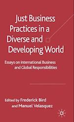 Just Business Practices in a Diverse and Developing World