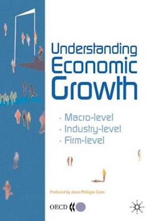 Understanding Economic Growth