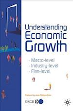 Understanding Economic Growth