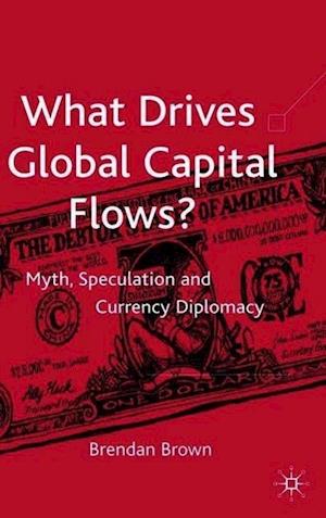 What Drives Global Capital Flows?