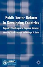Public Sector Reform in Developing Countries