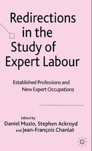 Redirections in the Study of Expert Labour