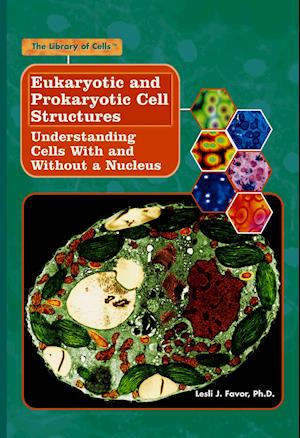 Eukaryotic and Prokaryotic Cell Structures