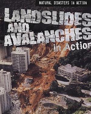 Landslides and Avalanches in Action