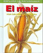 El Maiz