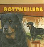 Rottweilers