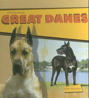 Great Danes