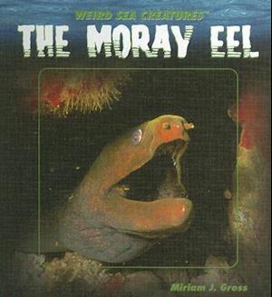 The Moray Eel