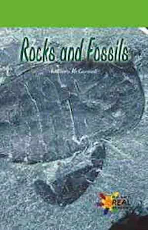 Rocks and Fossils