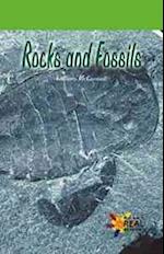 Rocks and Fossils