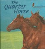 The Quarter Horse