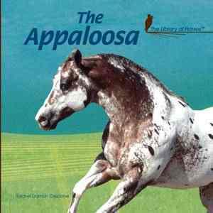 The Appaloosa