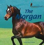 The Morgan