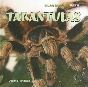 Tarantulas