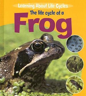 The Life Cycle of a Frog