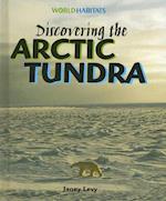 Discovering the Arctic Tundra