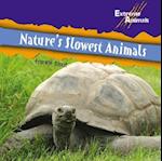 Natures Slowest Animals
