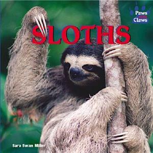 Sloths