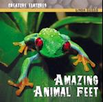 Amazing Animal Feet