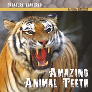 Amazing Animal Teeth