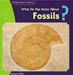 What Do You Know about Fossils?