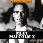 Meet Malcolm X