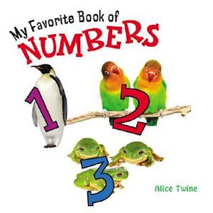 My Favorite Book of Numbers