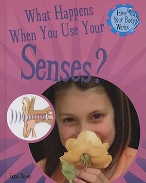 What Happens When You Use Your Senses?