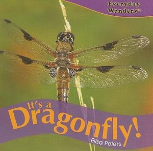 It's a Dragonfly!