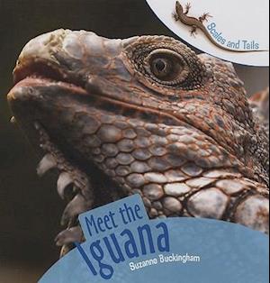 Meet the Iguana