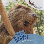 Meet the Beaver