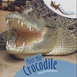Meet the Crocodile