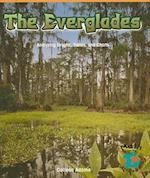 The Everglades
