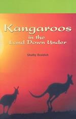 Kangaroos in the Land Down Under