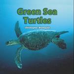 Green Sea Turtles